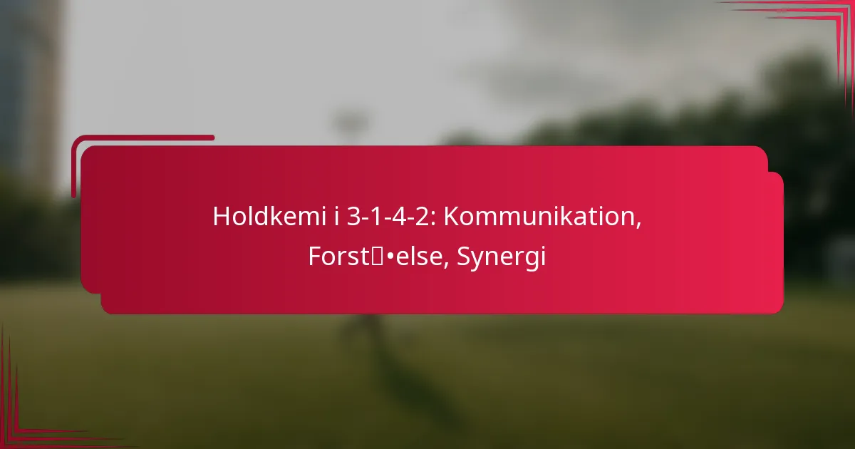 You are currently viewing Holdkemi i 3-1-4-2: Kommunikation, Forståelse, Synergi