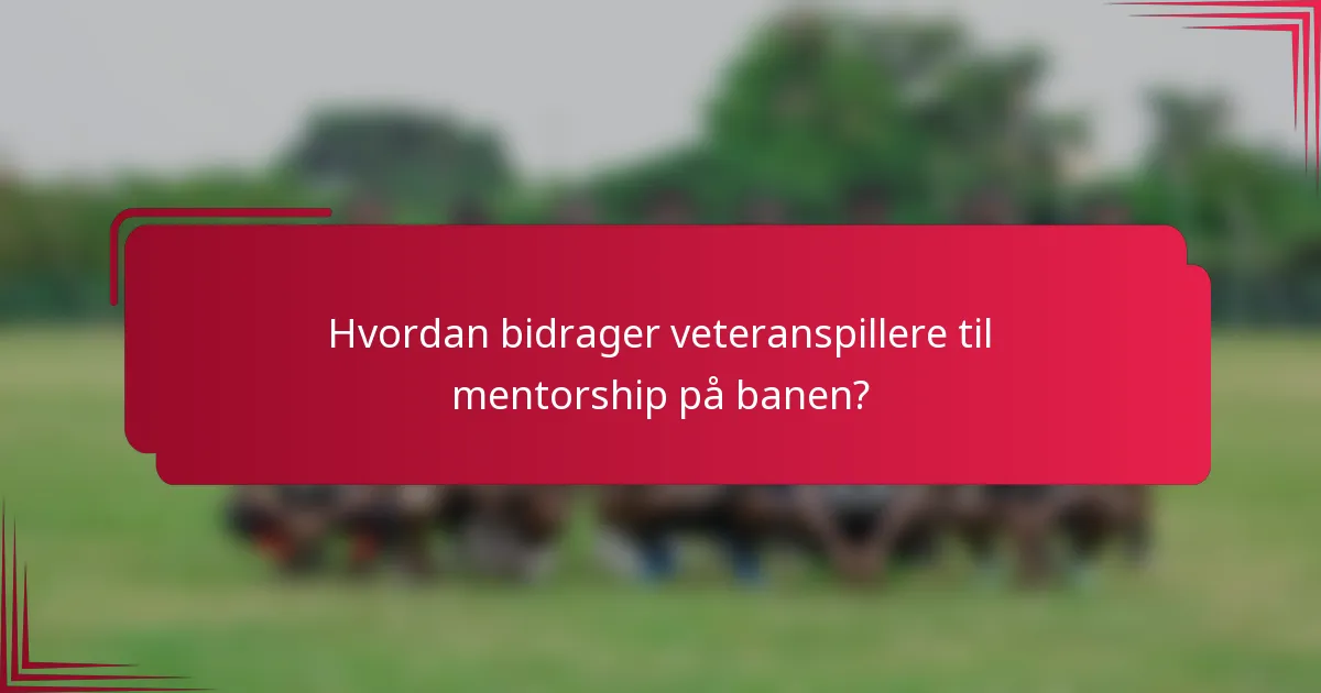 Hvordan bidrager veteranspillere til mentorship på banen?